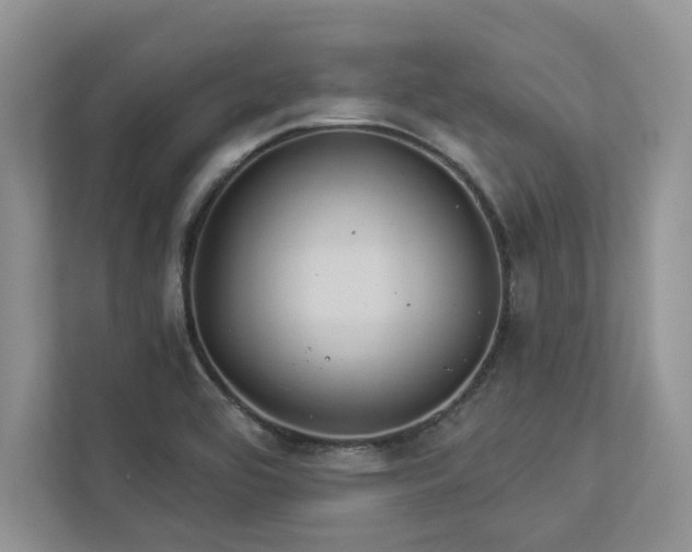 X0000112981464200908271133
