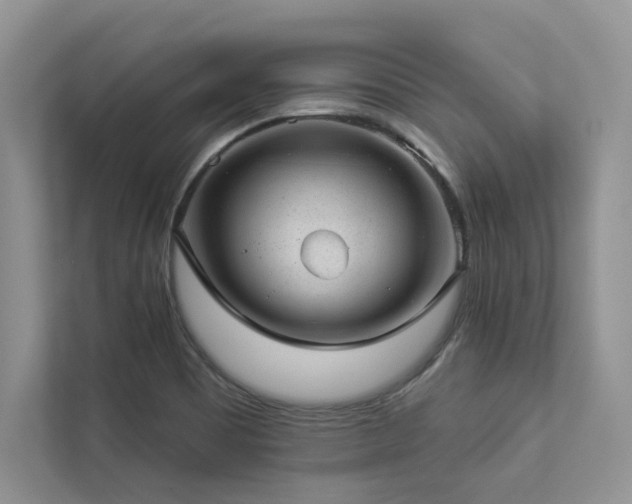 X0000112981465200908271133