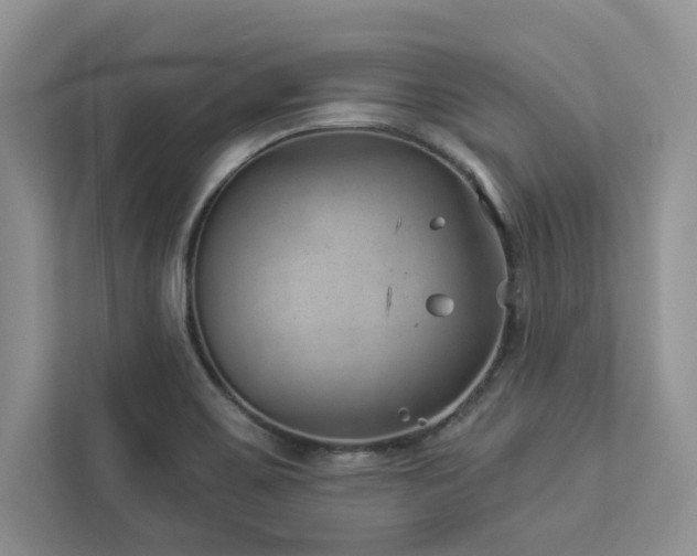 X0000112981467200908271133