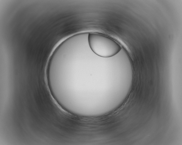 X0000112981468200908271133