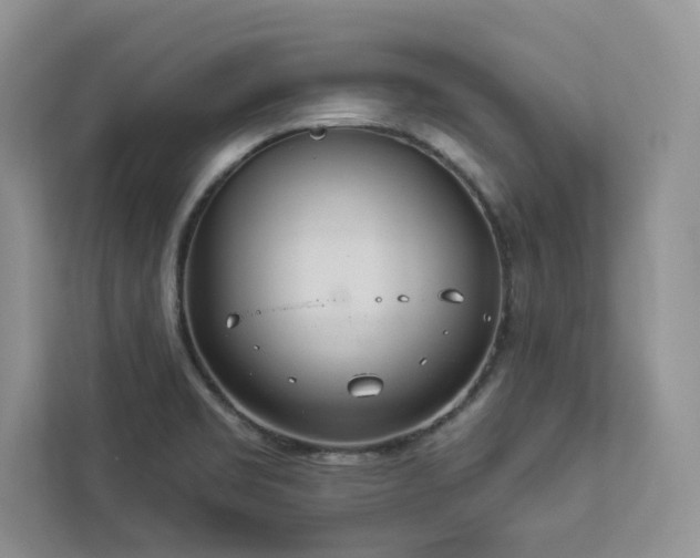 X0000112981469200908271133