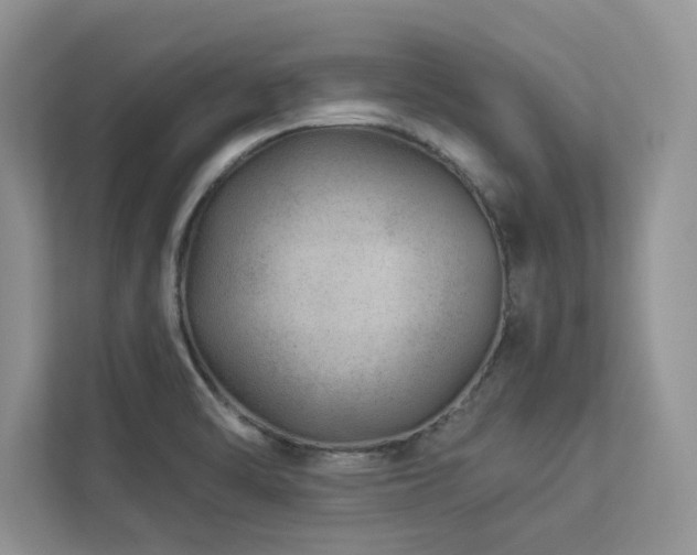 X0000112981470200908271133