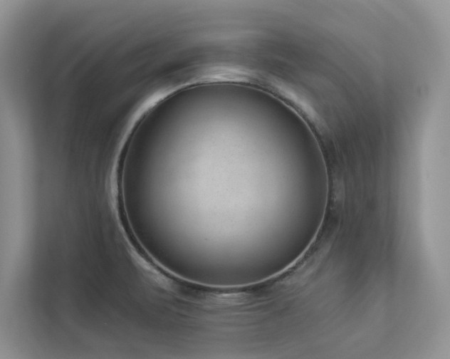 X0000112981471200908271133