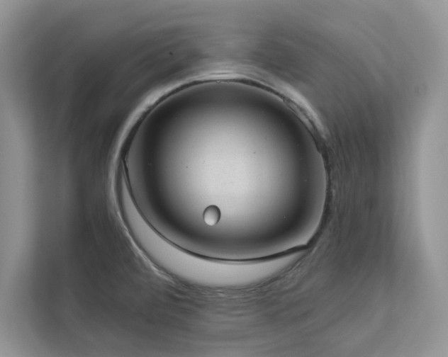 X0000112981472200908271133