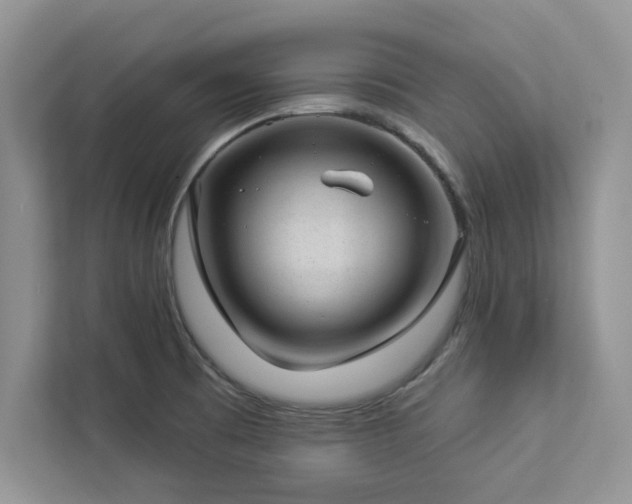 X0000112981473200908271133