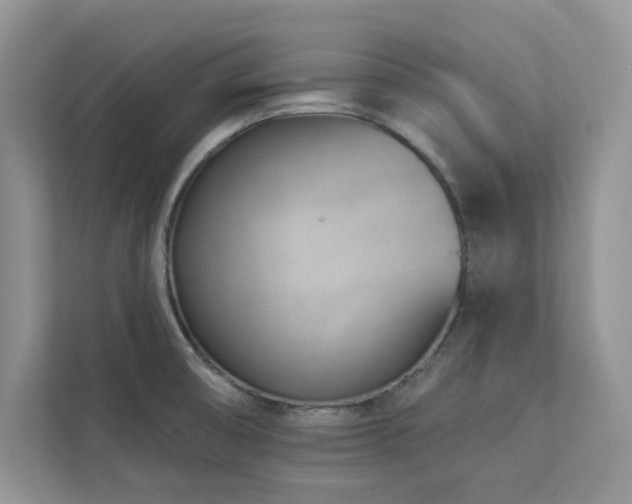 X0000112981474200908271133