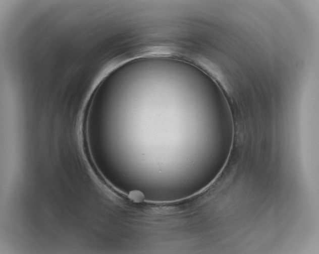 X0000112981475200908271133