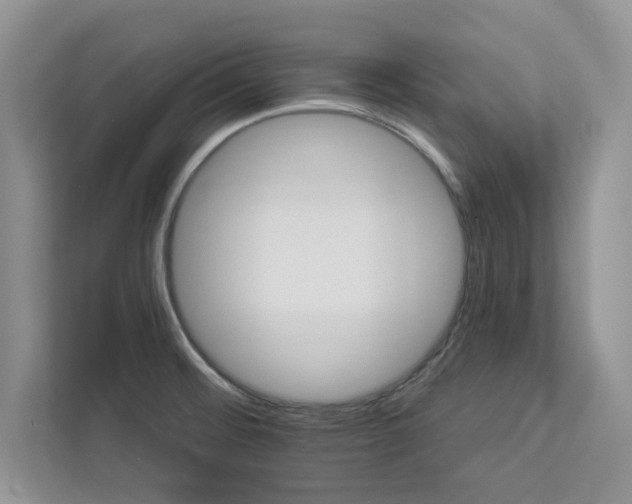 X0000112981476200908271133