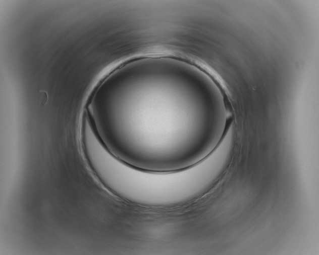 X0000112981477200908271133