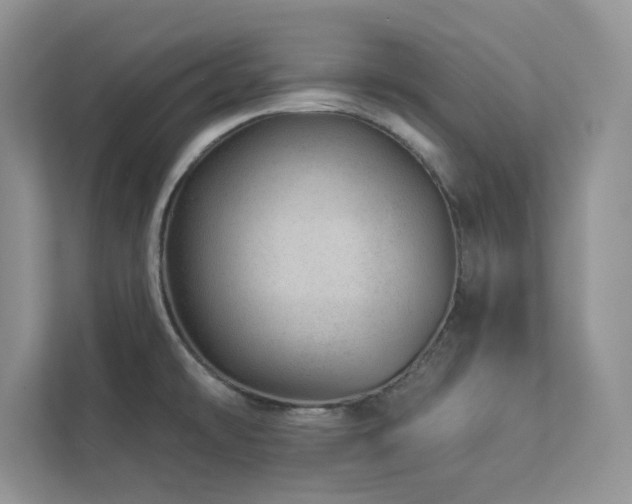 X0000112981478200908271133