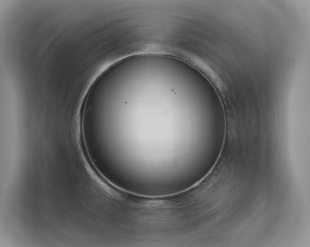 X0000112981479200908271133
