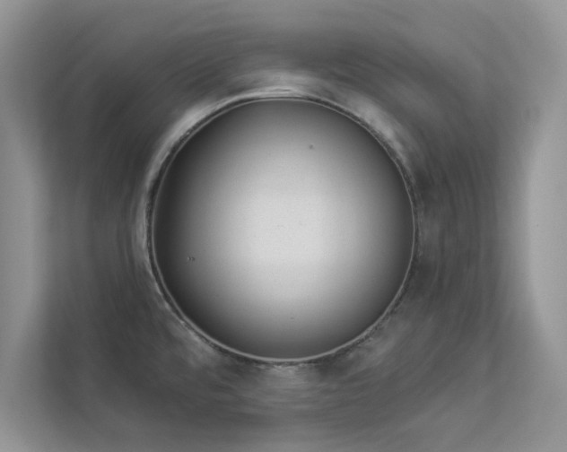 X0000112981480200908271133