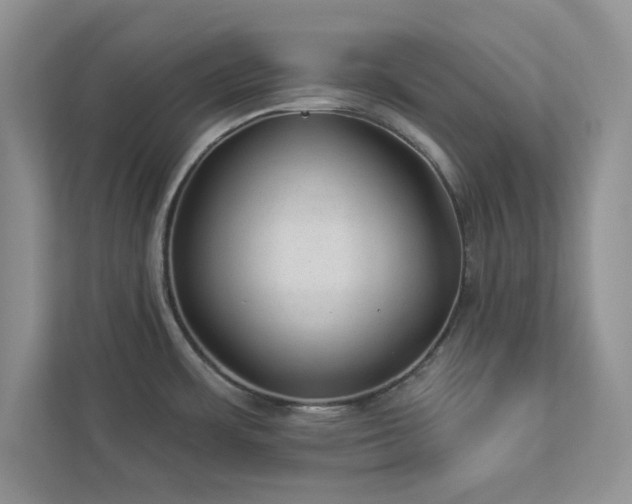 X0000112981483200908271133