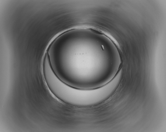 X0000112981484200908271133