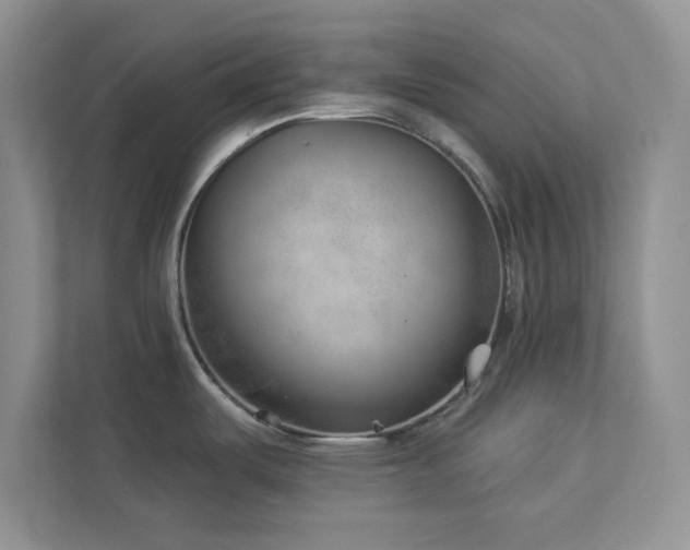 X0000112981487200908271133