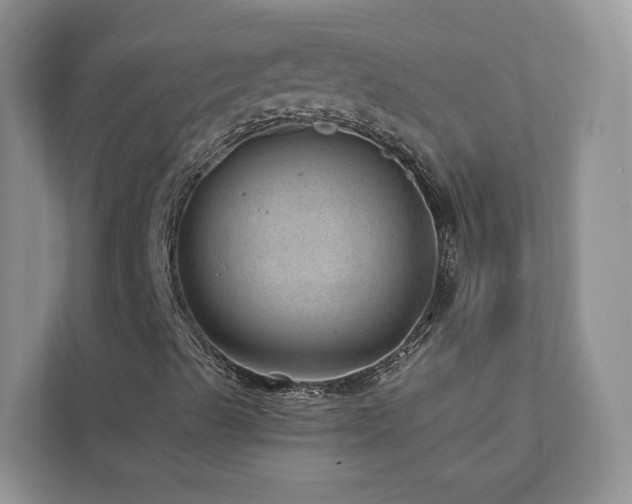 X0000112981489200908271132