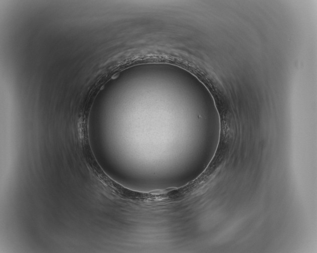 X0000112981490200908271132