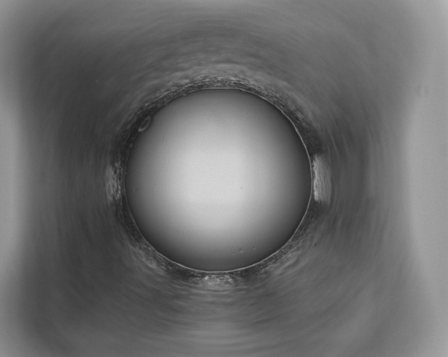 X0000112981491200908271132
