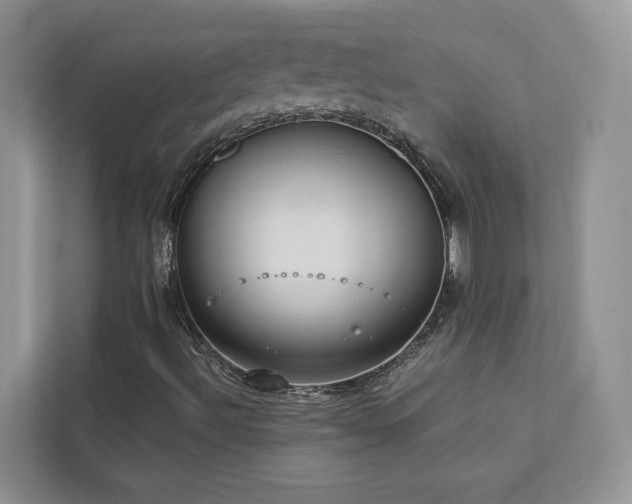 X0000112981492200908271132