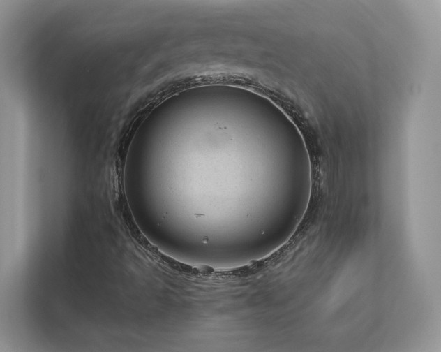 X0000112981493200908271132