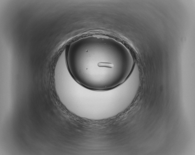 X0000112981496200908271132