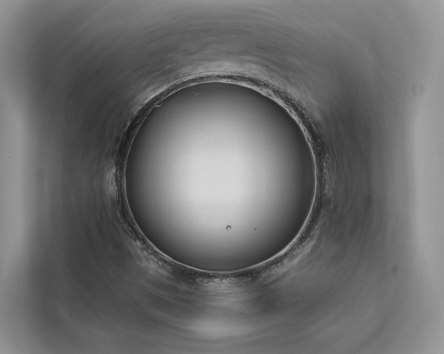 X0000112981497200908271132