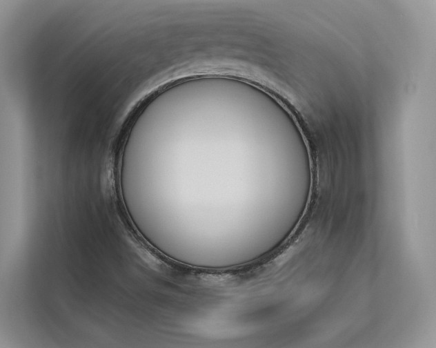 X0000112981498200908271132