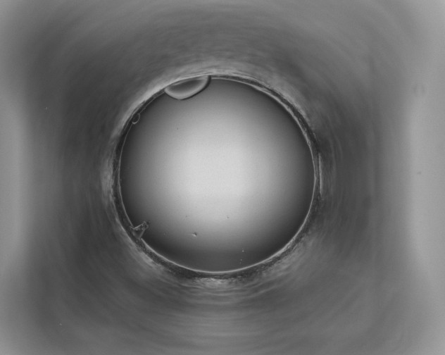 X0000112981500200908271132