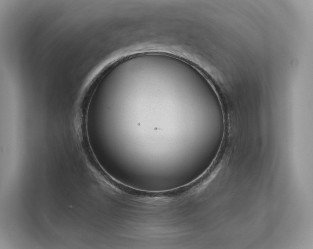X0000112981502200908271133