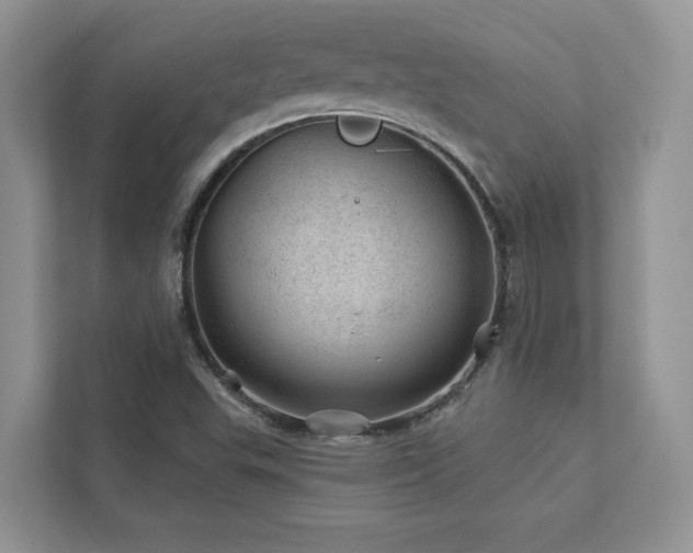 X0000112981503200908271133
