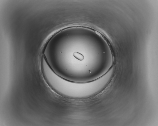 X0000112981504200908271133