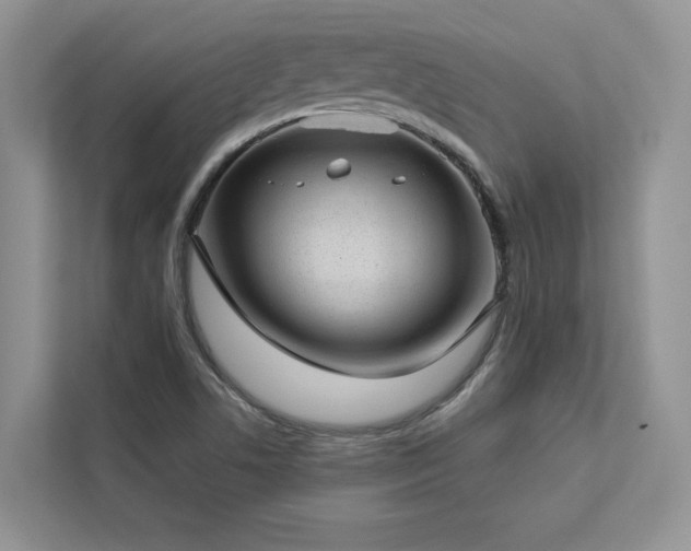X0000112981506200908271133