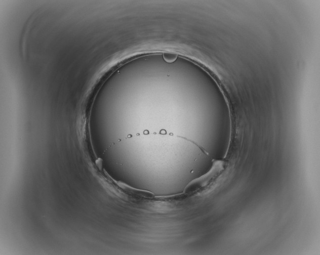 X0000112981507200908271133