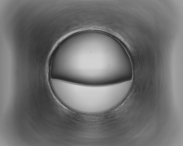 X0000112981508200908271133