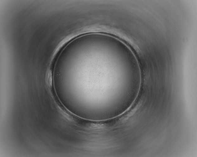X0000112981509200908271133