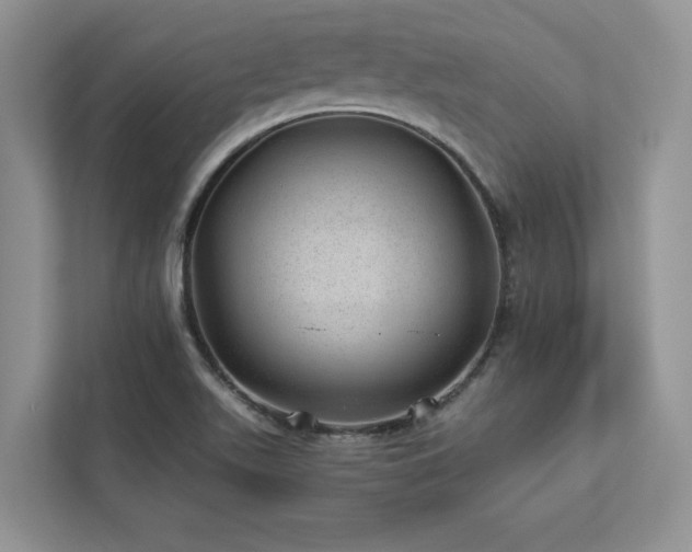 X0000112981511200908271133