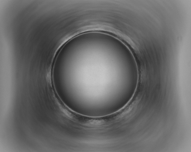 X0000112981513200908271133