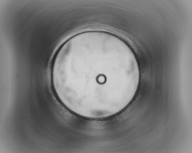 X0000112981514200908271133