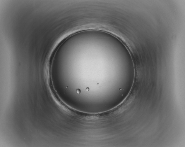 X0000112981515200908271133