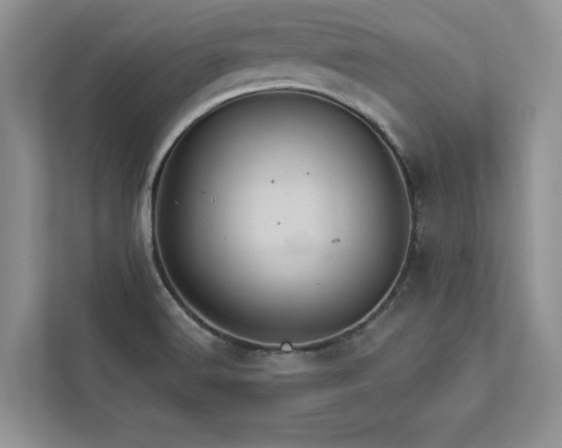 X0000112981516200908271133