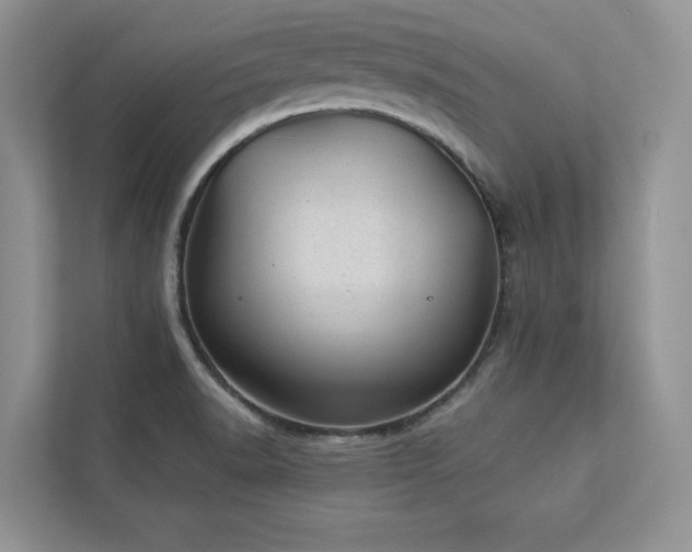 X0000112981518200908271133