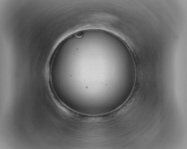 X0000112981519200908271133