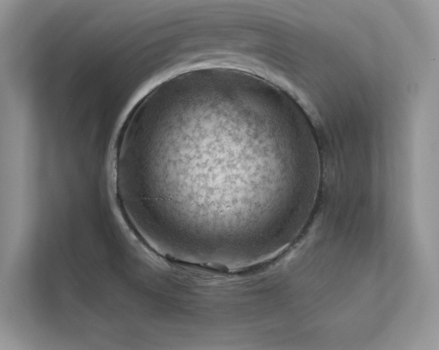 X0000112981522200908271133