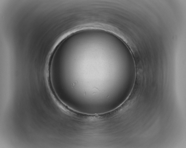 X0000112981523200908271133