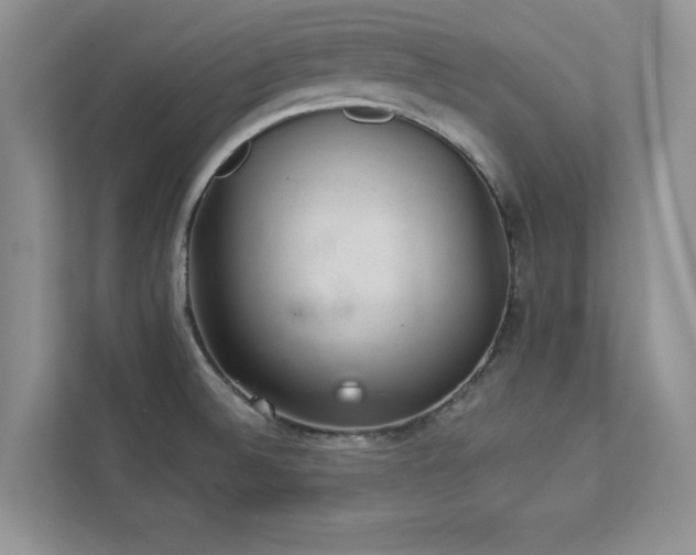 X0000112981524200908271133