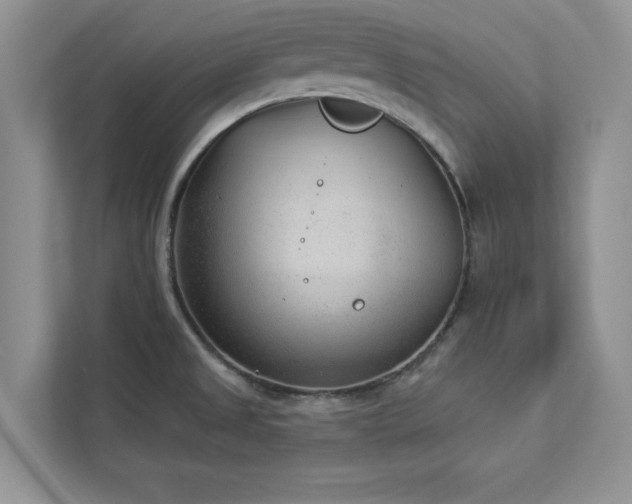 X0000112981525200908271133