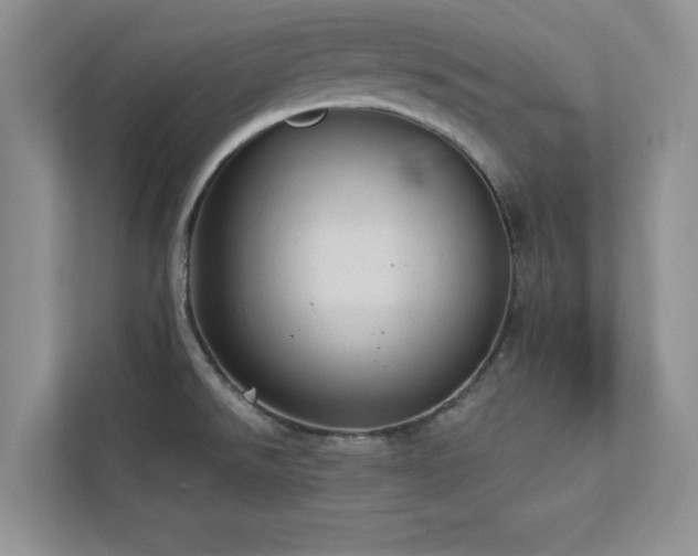 X0000112981526200908271133