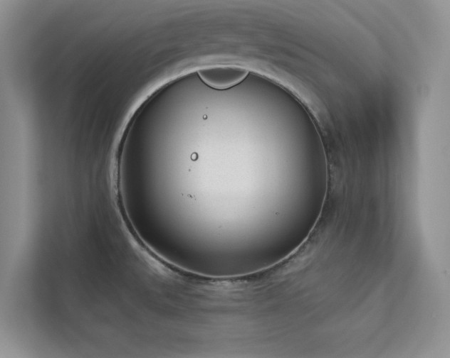 X0000112981527200908271133