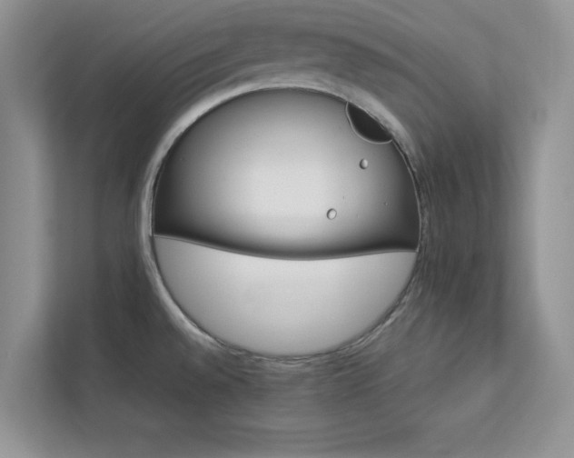 X0000112981528200908271133