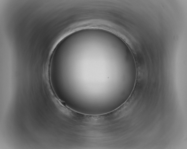 X0000112981530200908271133